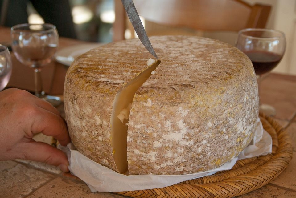 Gastronomía y alimentación